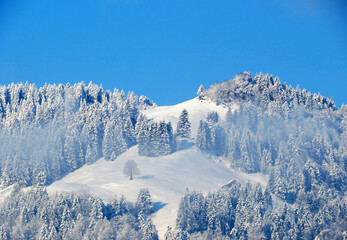 Fairytale icy winter atmosphere and snow-covered coniferous trees on mountain peaks above the alpine valley, Nesslau - Obertoggenburg, Switzerland (Schweiz)