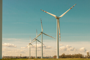 wind turbine farm 