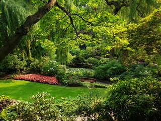 Japanese garden in the park