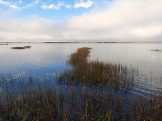 Georgia Marshes