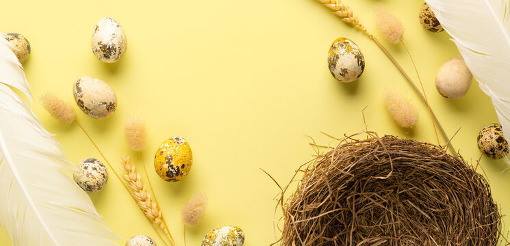 Easter flat lay, wide banner. Colored quail eggs, bird's nest, feathers, wheat on a yellow monochrome background. View from above wirh cooy space.