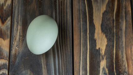 Araucana egg on wooden background. Light blue egg from Araucana chicken. Easter Festival concepts. Easter egg.