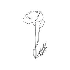Beautiful abstract poppy flower drawn in one line. Floral sketch. Continuous line drawing botanical art. Minimalist art. Simple vector illustration.