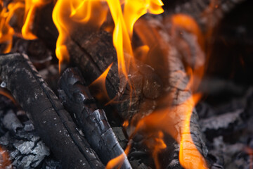 Yellow tongues of flame dancing on wooden logs