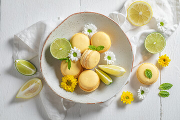 Delicious and fresh lemon macaroons as a spring snack.