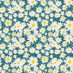 Seamless pattern with chamomile flower on a blue background