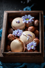 Delicious and fresh nuts macaroons as small crunchy snack.
