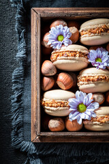 Tasty and sweet nuts macaroons made of hazelnuts and walnut.