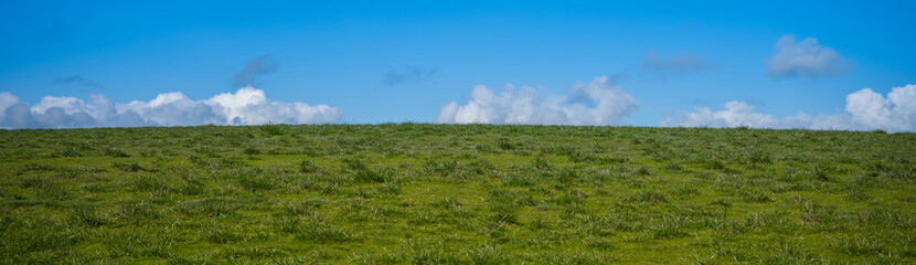 Obraz premium Background 