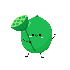 Lotus seeds on white background. Seed Pod of Sacred Lotus Flower. Lotus seed character design. Seed Pod cartoon.