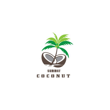 coconut logo fruit design illustration vector