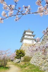 Fototapeta premium 明石城 巽櫓