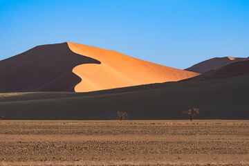 Fototapeta na wymiar Namibia, the Namib desert, graphic landscape of red dunes 