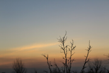 Obraz premium sunrise in the sky