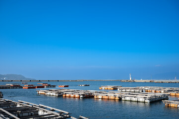 トラフグの水揚げで有名な南風泊漁港