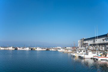 トラフグの水揚げで有名な南風泊漁港