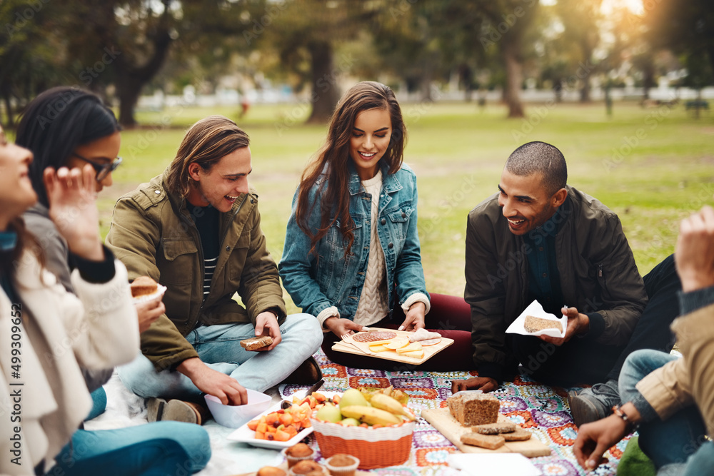 Poster i dont know where to start. shot of a group of cheerful young friends having a picnic together outsi