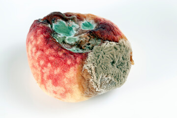 rotten food peach not fit for food