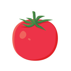Tomato isolated on white background. Vector illustration of vegetable