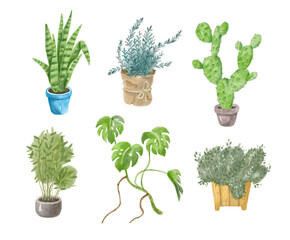 Watercolor set of houseplant icon. Hand-drawn illustration isolated on the white background