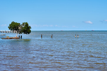 Puerto San Jos&eacute;