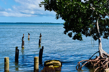 Puerto San Jos&eacute;