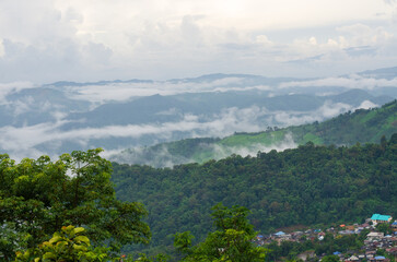 Landscape green mountains forest with rain fog at Doi Chang, Chiang Rai Thailand
