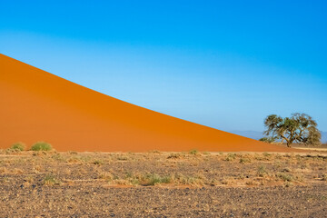 Namibia, the Namib desert, graphic landscape of red dunes 
