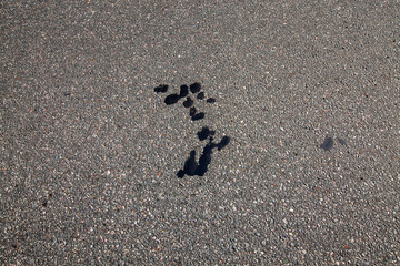 oil and fuel stains on the paved highway