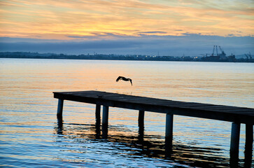 Puerto San Jos&eacute;