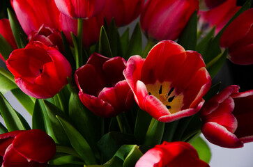 Fototapeta premium bouquet of tulip flowers is on table of house. concept of a gift for holiday of Women's Day, mother, grandmother, girl