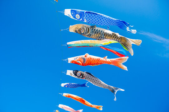 こいのぼり の画像 14 981 件の Stock 写真 ベクターおよびビデオ Adobe Stock