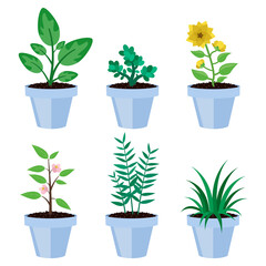 Plants in pot. Some with flowers, some without. Vector graphic.