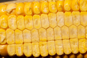 unripe young corn with yellow seeds cut into pieces