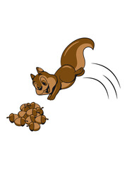 Eichhörnchen nüsse nuss 