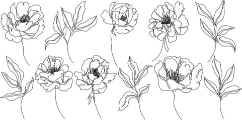 Peony flowers isolated vector illustration. Vector wildflowers for background. Abstract botanical art. Simple minimalist art set. Continuous line drawing. © ARTSTOK