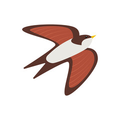 Cute flying chubby swift. Childish vector illustration in flat style