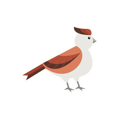 Cute little sparrow, hand drawn vector illustration in flat style