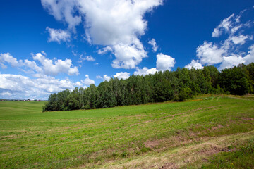 landscape of an agricultural field where grass is grown