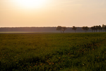 Obraz premium beautiful sky of warm orange colors during sunset