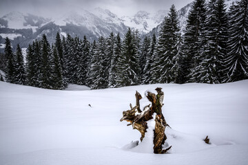 Berglandschaft in Vorarlberg