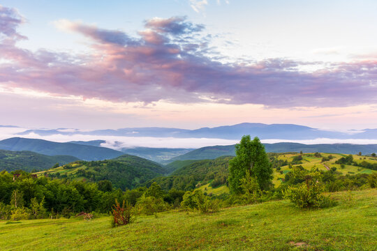 countryside landscape at dawn. grassy meadows, rural fields and forested slopes on hills rolling off in to the distant valley full of fog. warm summer weather with clouds on the sky in morning light