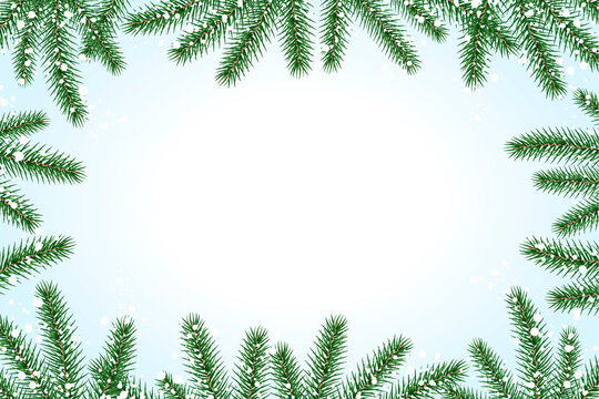 Christmas background with fir branches and snow