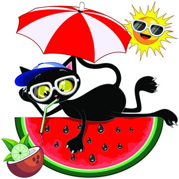Cat Cartoon Character and Juicy Watermelon Summertime Chill Humorous Vector Illustration isolated on white