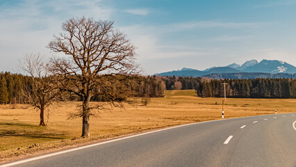 Fototapeta premium Beautiful alpine winter view with the famous Wendelstein summit in the background near Bayrischzell, Bavaria, Germany