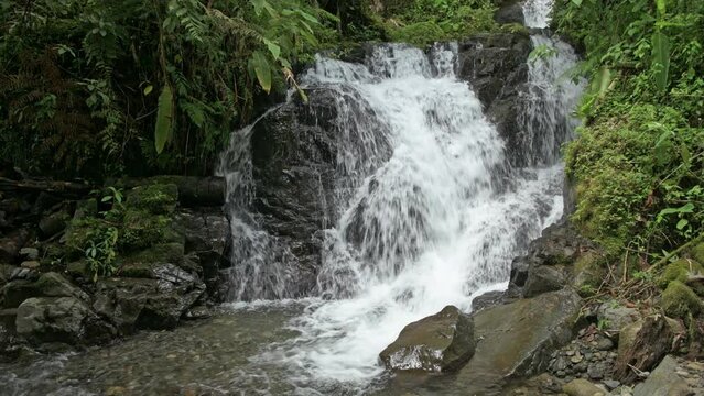 Tropical cloud forest with waterfall, La Amistad International Park, Chiriqui, Panama, Central America - stock video