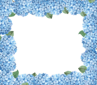 Floral frame, watercolor blue hydrangea isolated on a white background, perfect background for holiday and wedding invitations and postcards