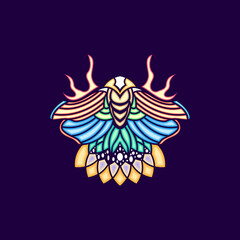 Animal butterfly colorful design vector