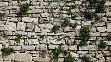 Limestone Wall Stone plants