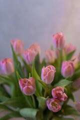 Bukiet pięknych tulipanów w ciepłym świetle